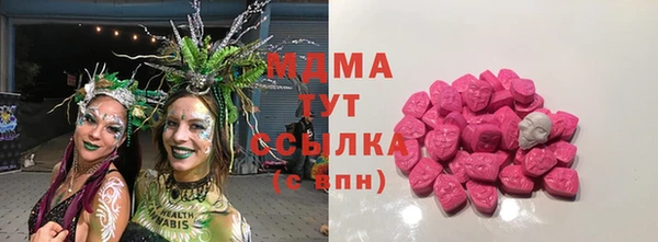 индика Вязьма