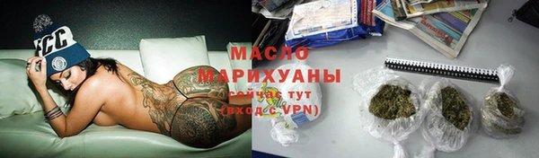 индика Вязьма