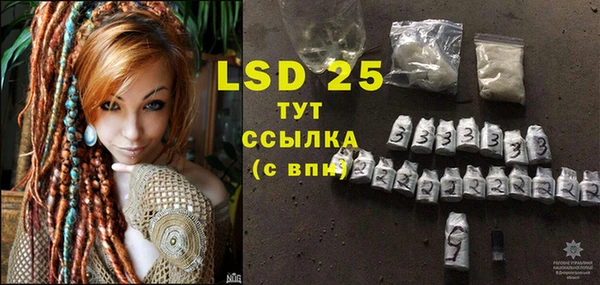 индика Вязьма