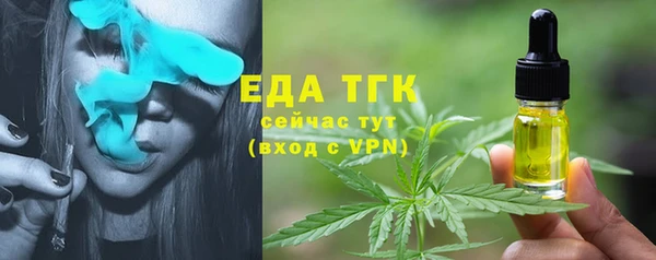 индика Вязьма