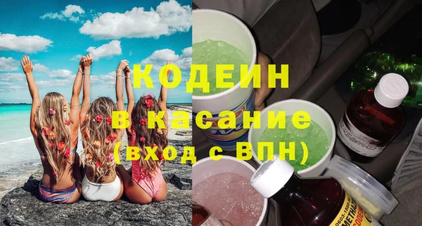 индика Вязьма