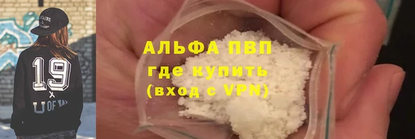 индика Вязьма