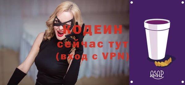 индика Вязьма