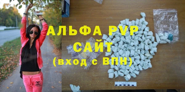 индика Вязьма