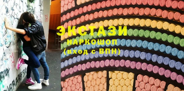 индика Вязьма