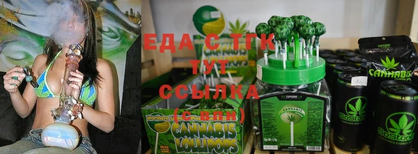 индика Вязьма