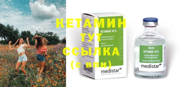 индика Вязьма