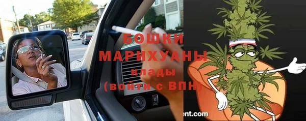 индика Вязьма
