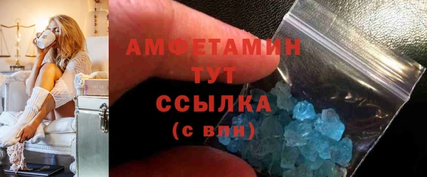 индика Вязьма